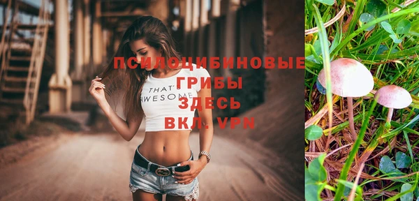 амф Зеленодольск